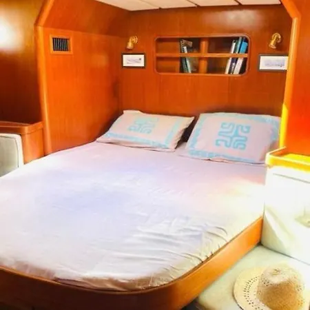 April At From 1 Mai On The Go To Paramaribo Suriname Incl B&b& Skipper Medemblik