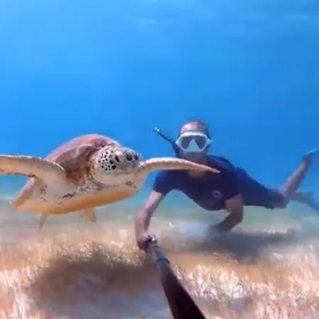 Lyra ocean sailing yacht: Contest 48 Botel