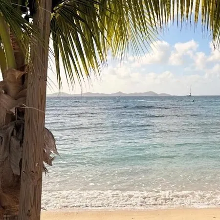 Lyra ocean sailing yacht: Contest 48 Botel Medemblik