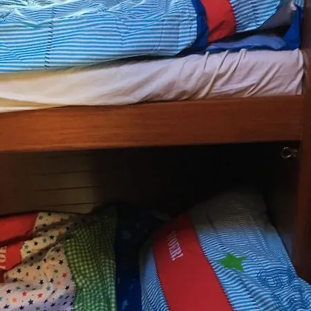 April At From 1 Mai On The Go To Paramaribo Suriname Incl B&b& Skipper Botel Medemblik