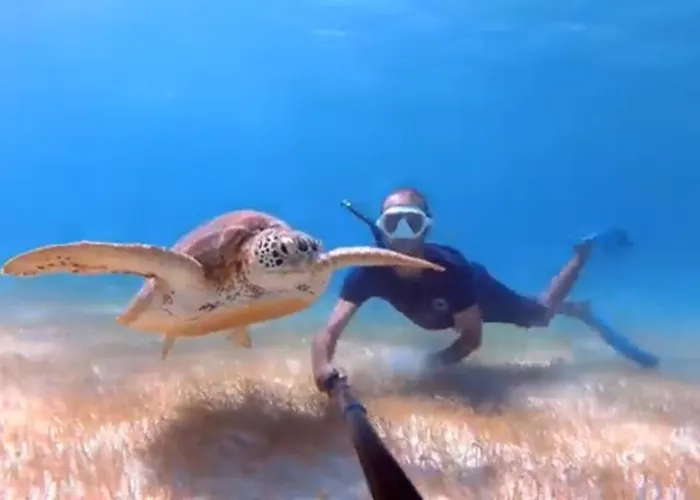 Enjoy Sailing From Hoorn To Dartmouth 1 May Till 13 May And From 15 May To Lissabon Arriving 27 May Or 29 Mai To Algarve Vilamoura Arriving 10 June 船屋