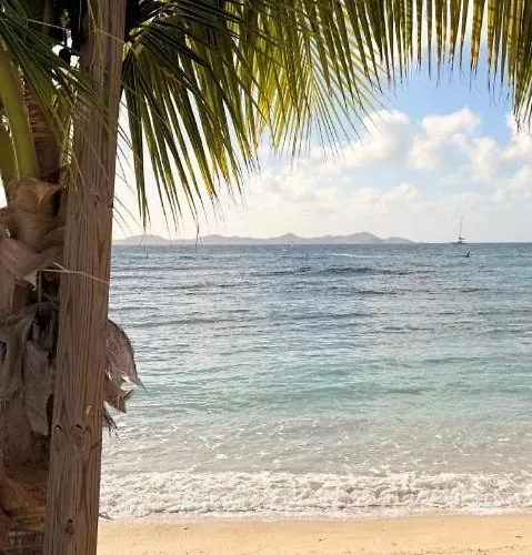 Enjoy Sailing From Hoorn To Dartmouth 1 May Till 13 May And From 15 May To Lissabon Arriving 27 May Or 29 Mai To Algarve Vilamoura Arriving 10 June 船屋 梅代姆里克