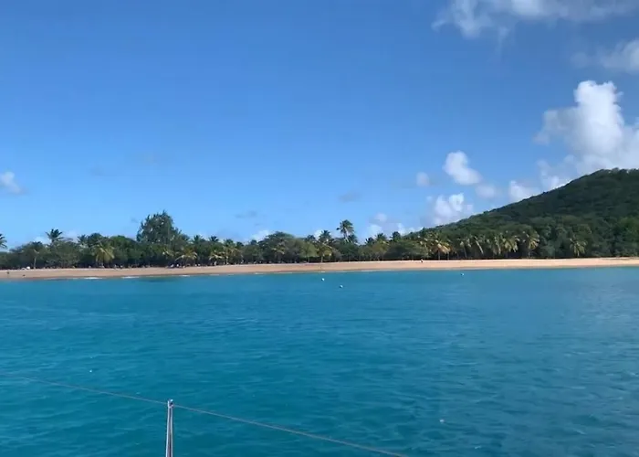 船屋 Enjoy Sailing From Hoorn To Dartmouth 1 May Till 13 May And From 15 May To Lissabon Arriving 27 May Or 29 Mai To Algarve Vilamoura Arriving 10 June 梅代姆里克