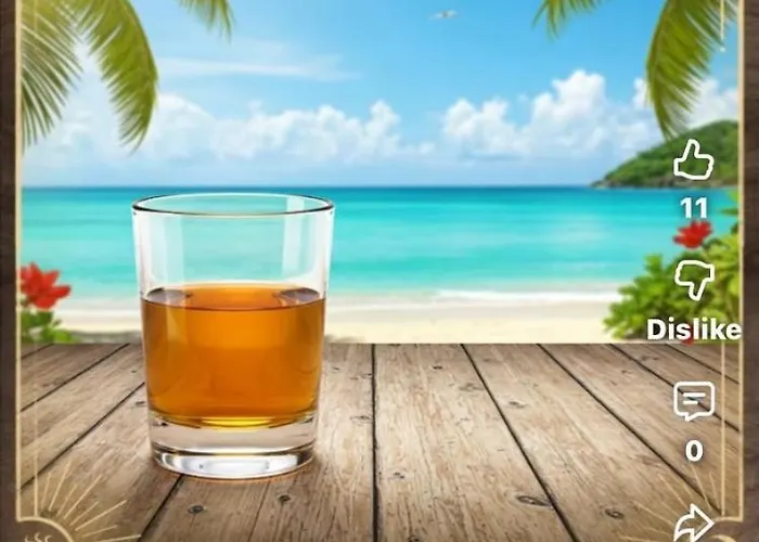 船屋 Enjoy Sailing From Hoorn To Dartmouth 1 May Till 13 May And From 15 May To Lissabon Arriving 27 May Or 29 Mai To Algarve Vilamoura Arriving 10 June